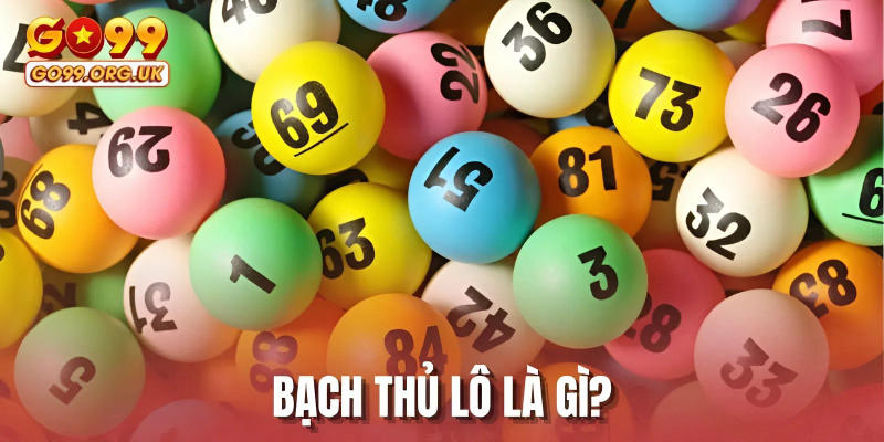 Bạch thủ lô là gì