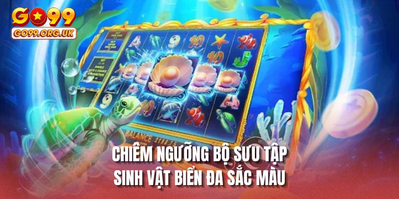 Chiêm ngưỡng bộ sưu tập sinh vật biển đa sắc màu